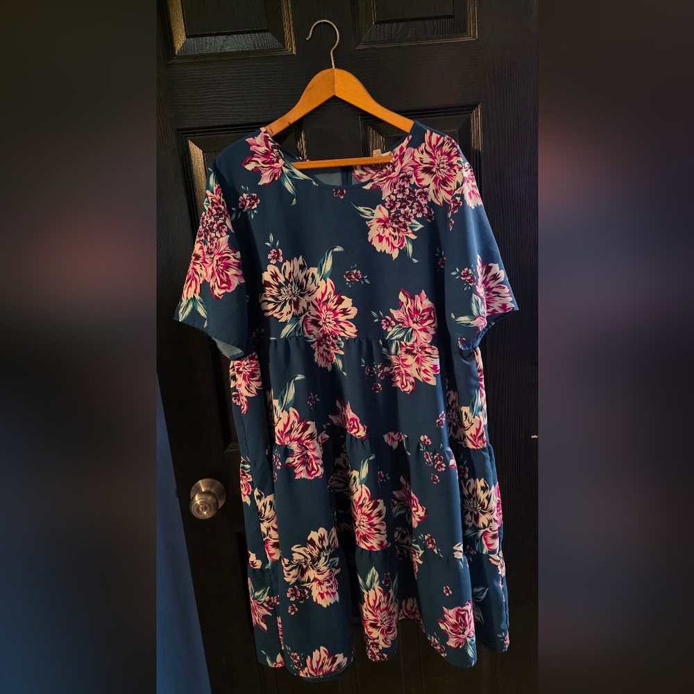 Terra & Sky Pink and Blue Floral Dress